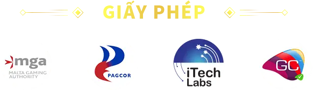 Giấy Phép KG88